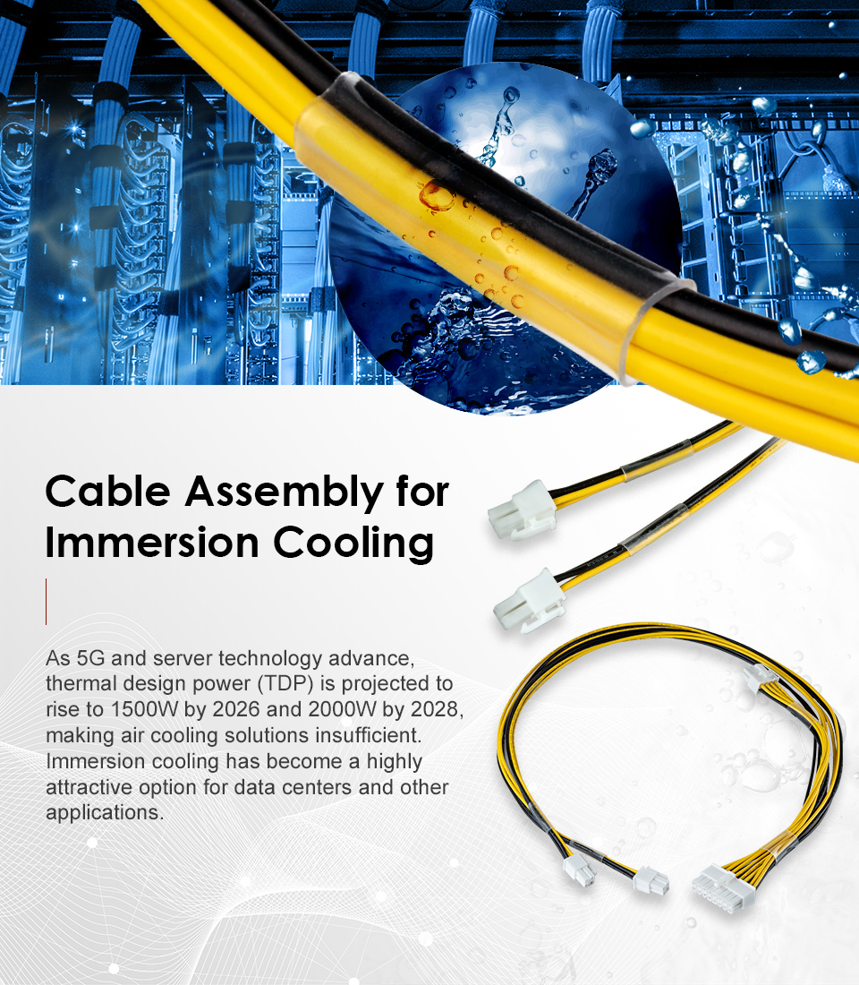 banner06_immersion